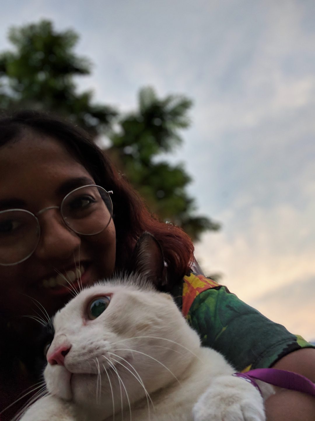 Looking Back | December 2017 | Mumbai Pet Festival