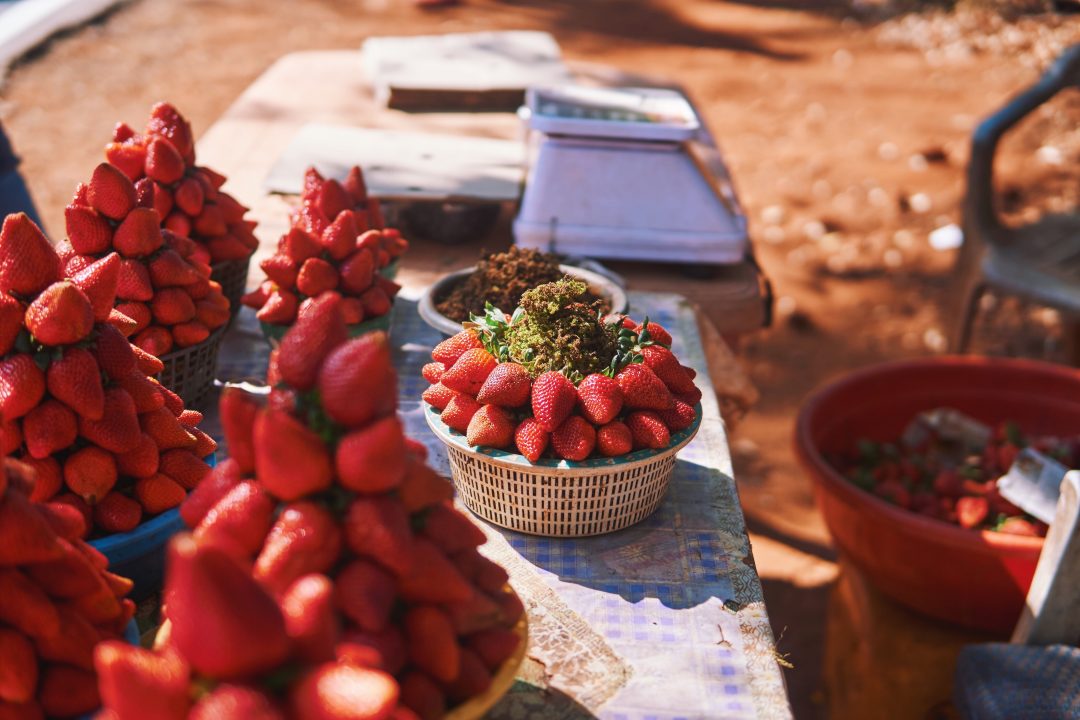 Weekend Getaway to Mahabaleshwar | Strawberry Farms, Picking