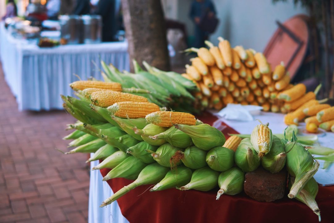 Weekend Getaway to Mahabaleshwar